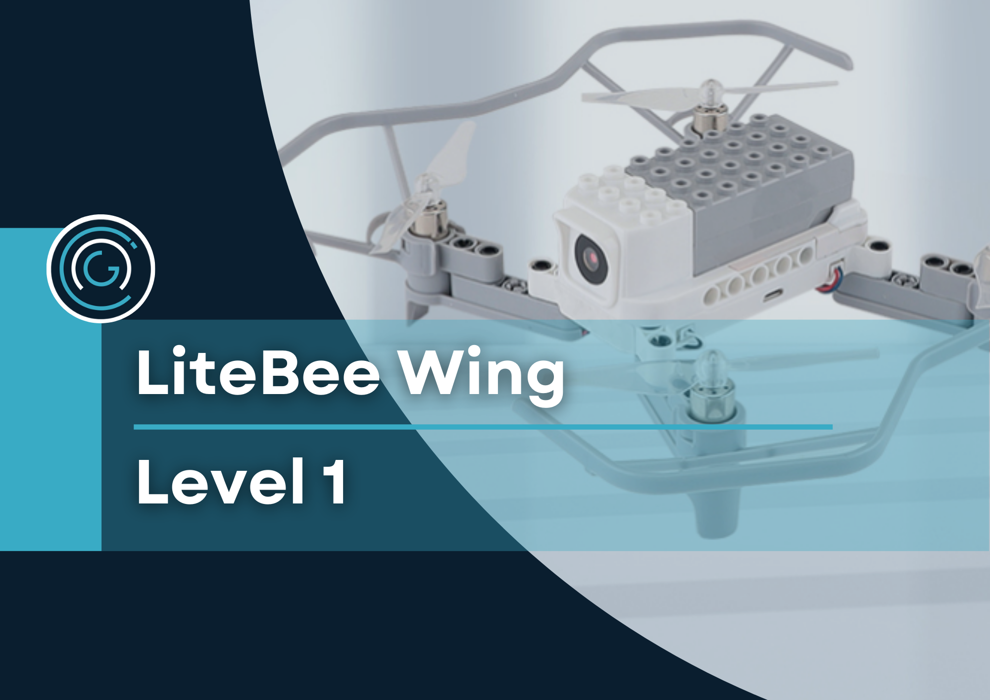 Inspire Training Micro Course: LiteBee Wing Level 1